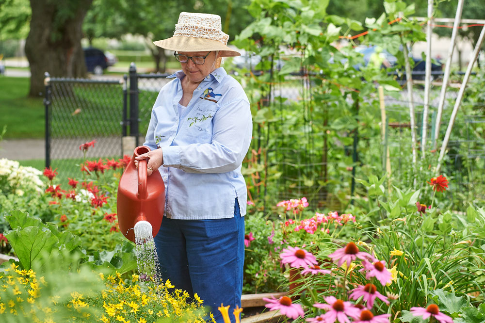 resident watering plants in the garden