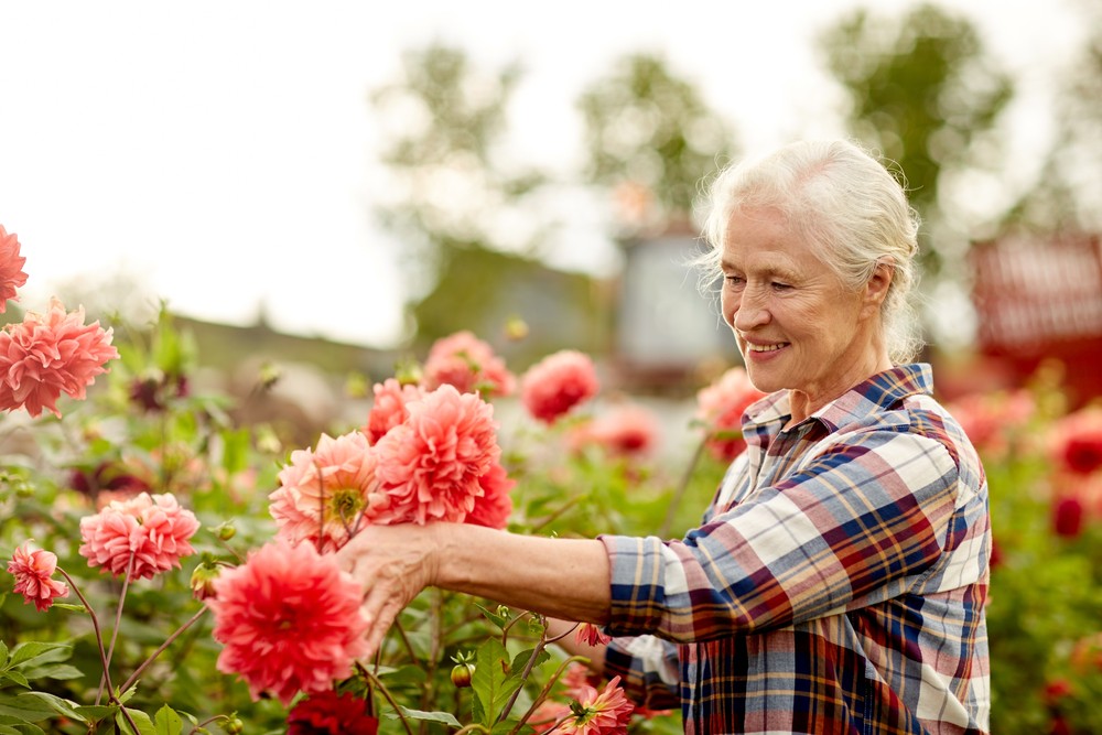 Happy senior woman gardening