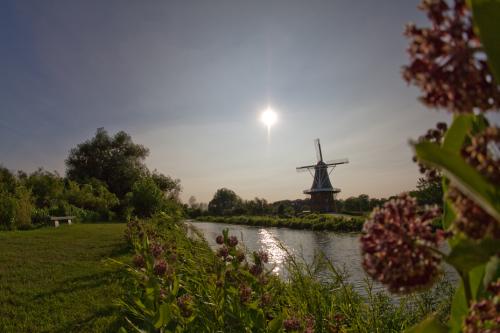 windmill at sunset