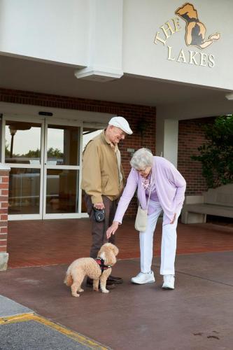 seniors petting a dog